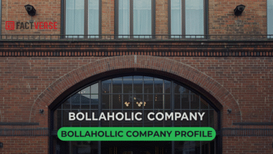 Bollahollic Company Profile