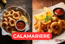 Calamariere