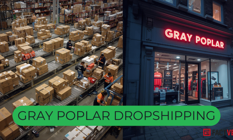 Gray Poplar Dropshipping