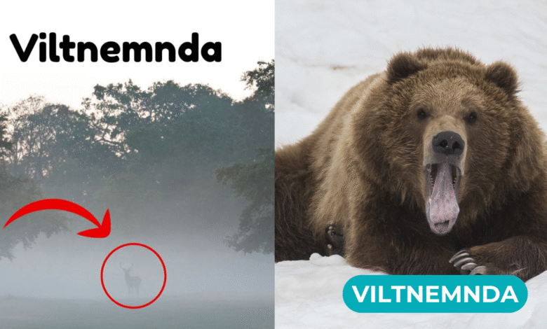 viltnemnda