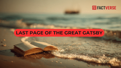 The Last Page of The Great Gatsby