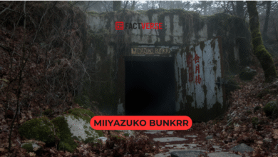 Miiyazuko Bunkrr