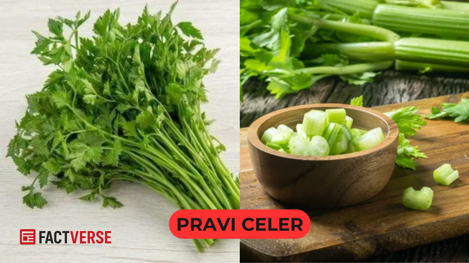 Pravi Celer