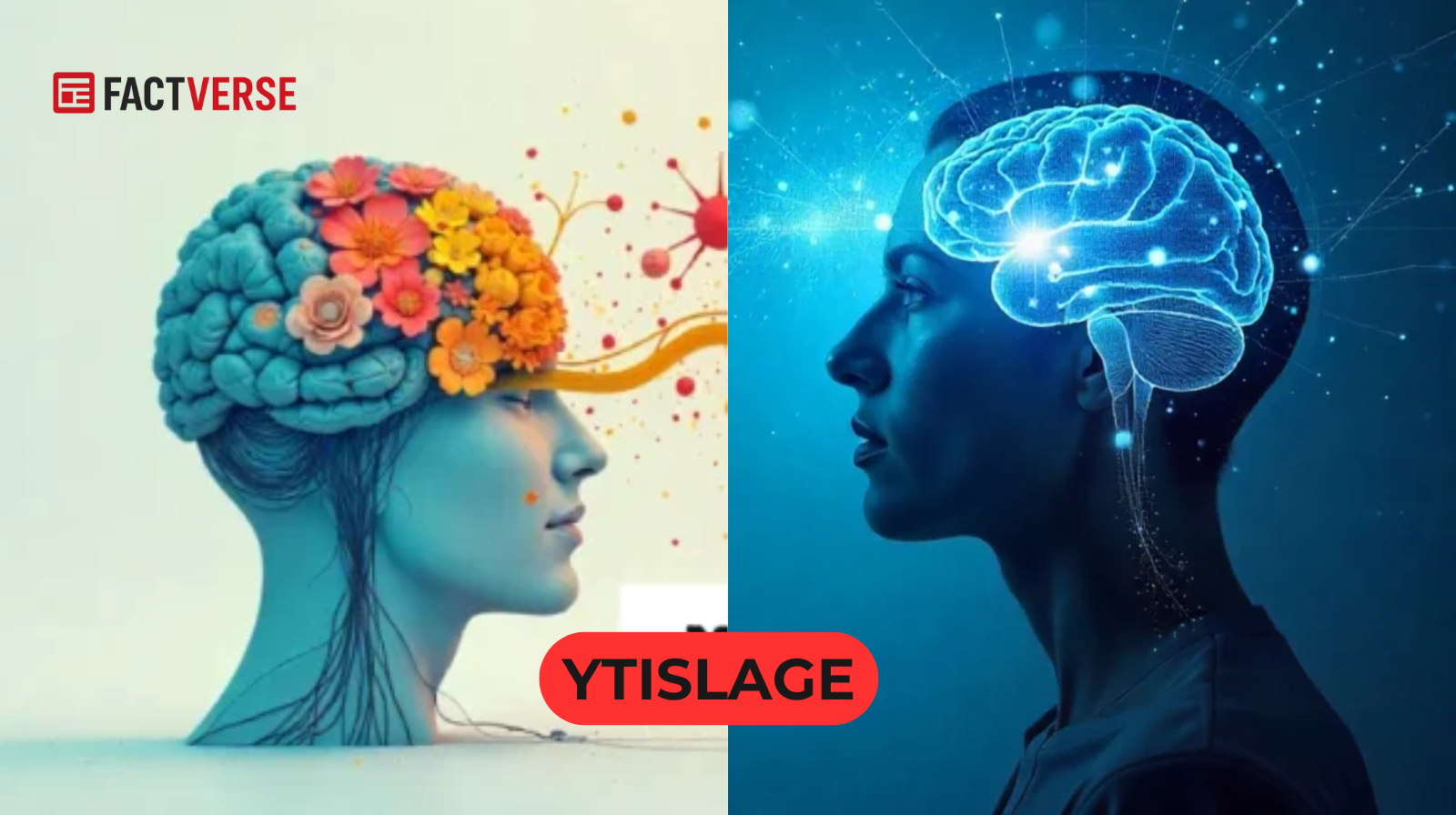 Ytislage